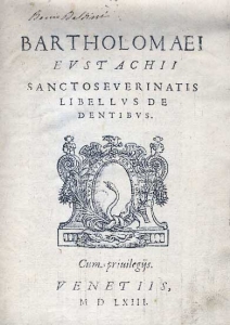 Eustachio anatomia dei denti